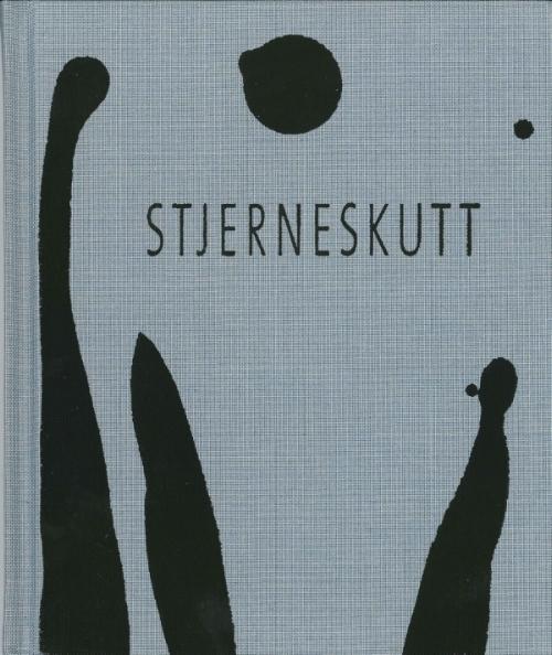 Magne Furuholmen - Stjerneskutt (bok)