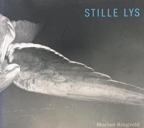 Stille lys (bok)