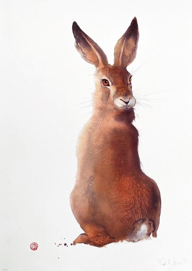 Hare