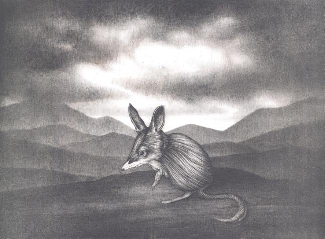 Bilby